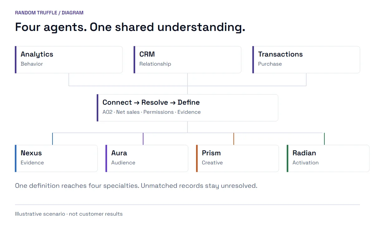 Analytics, CRM and transactions feed Connect, Resolve and Define. The same context reaches Nexus, Aura, Prism and Radian.
